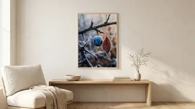 Interior view: Frost jewel of the blackthorn