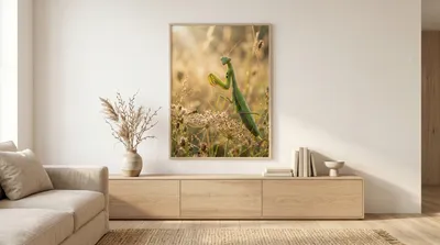 Interior view: Morning encounter with a praying mantis