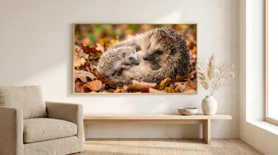 Interior view: Hedgehog family in autumn