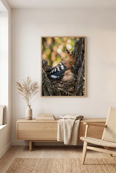 Interior view: Nature poetry: hoopoe with chick