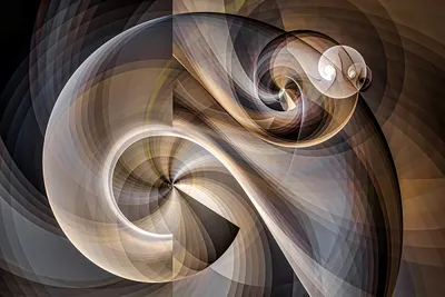 Wall art: Nautilus shell and the Fibonacci sequence