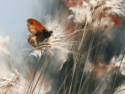 Wall art: Butterfly: poetry of the wind