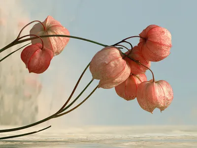 Wall art: Delicate lanterns